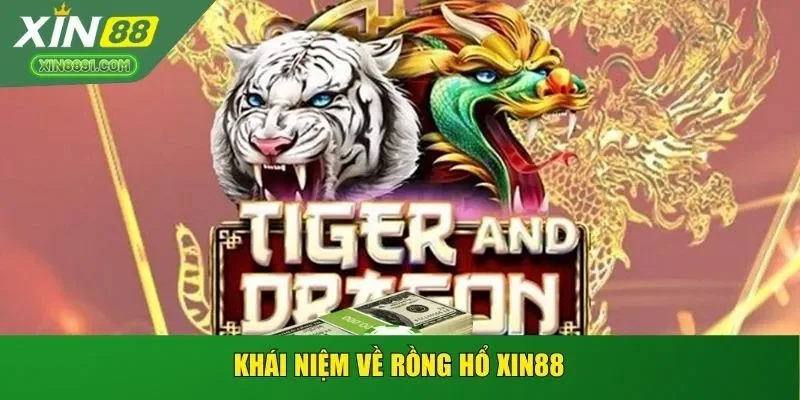 Khái niệm về rồng hổ XIN88