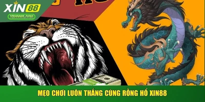 Mẹo chơi luôn thắng cùng rồng hổ XIN88