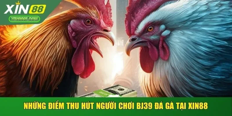 Những điểm thu hút người chơi BJ39 đá gà tại XIN88